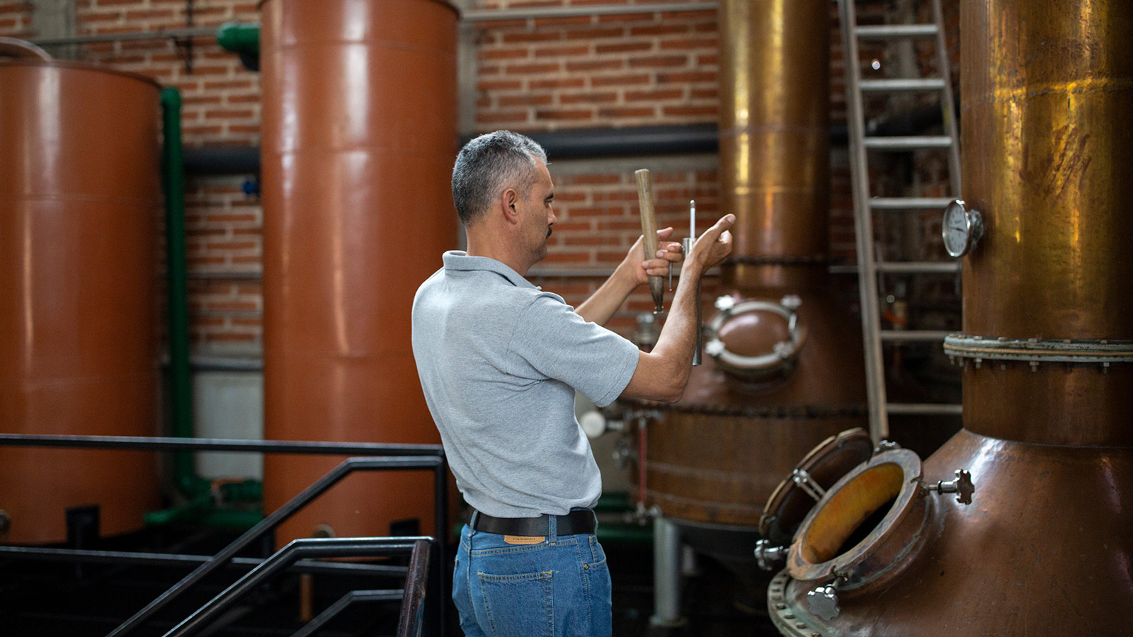 Distillery Mexico Tequila El Tesoro