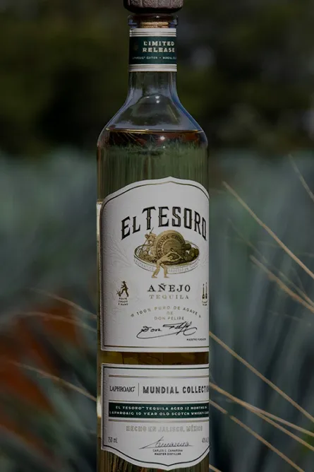 person holding a bottle of El Tesoro 