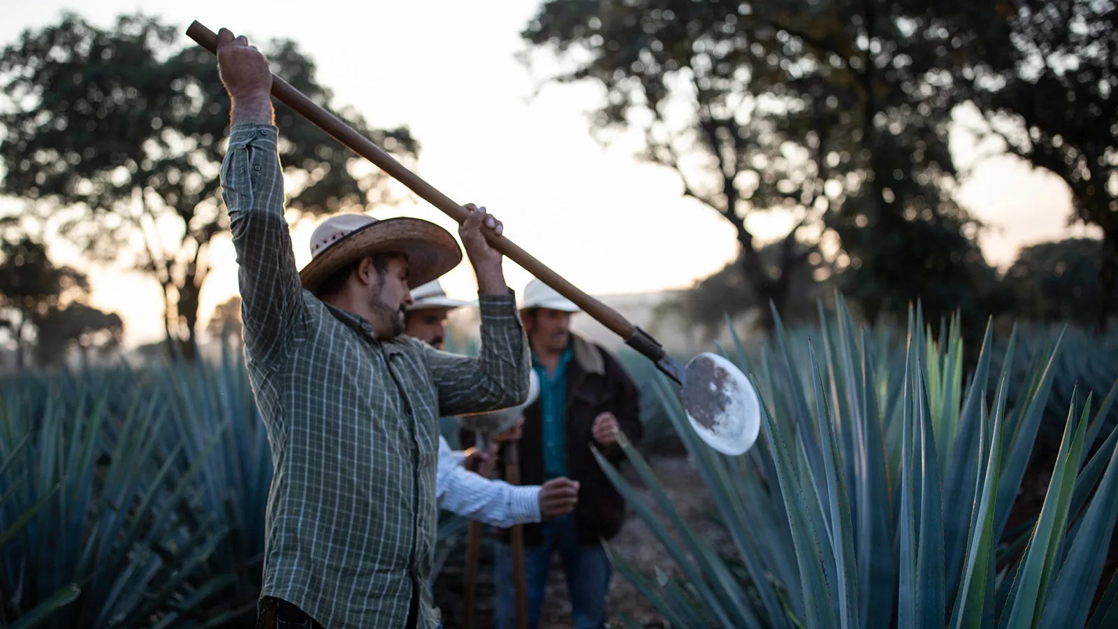 Tahona Stone El Tesoro Tequila
