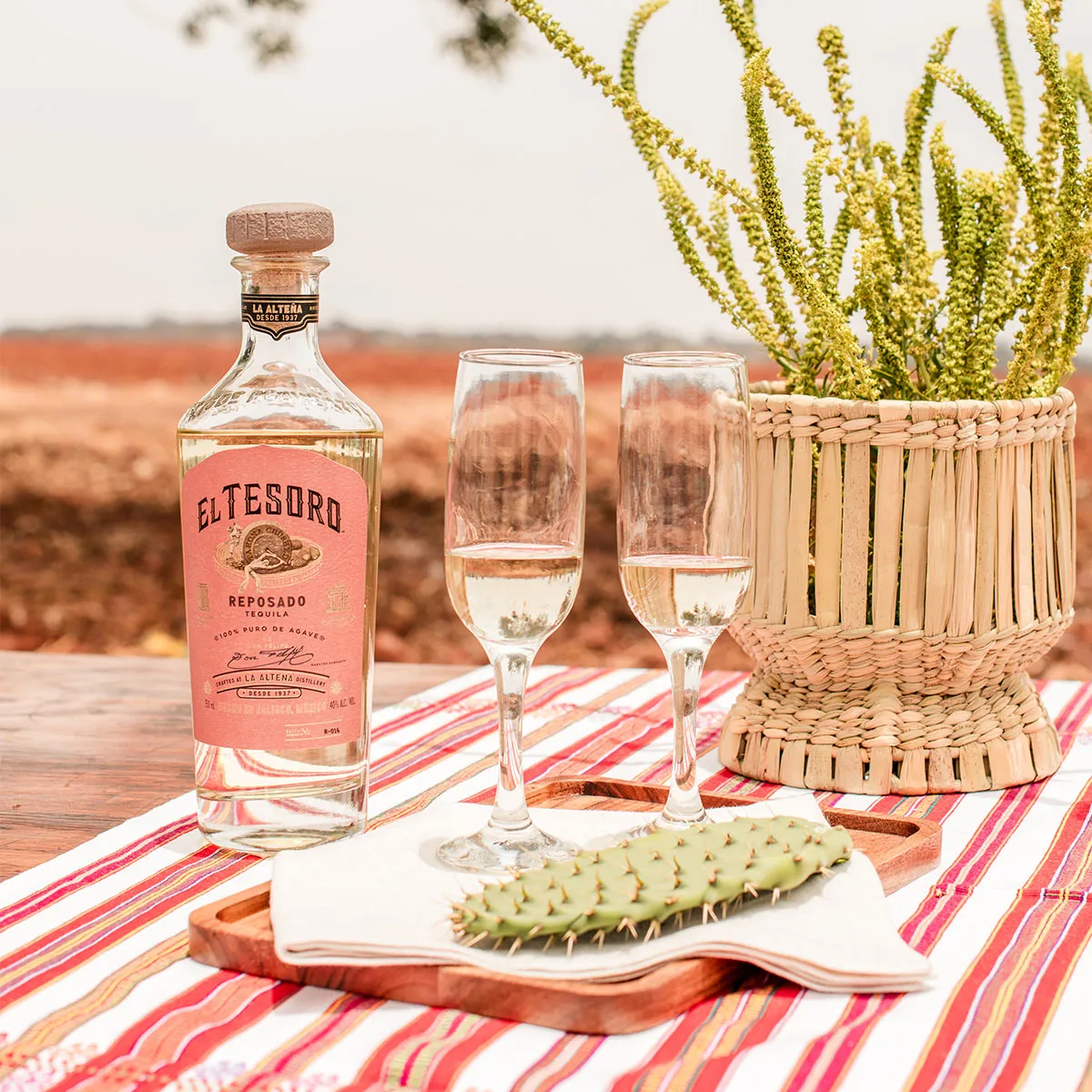 Reposado Tequila Bottle El Tesoro