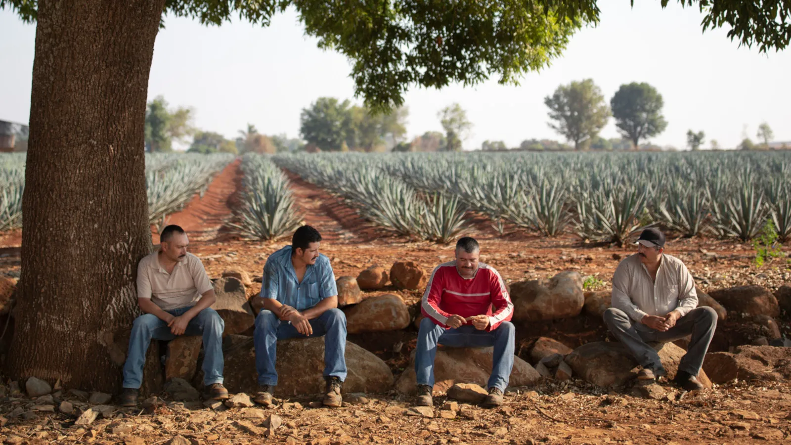 Men Sitting Community Distillery Desktop El Tesoro