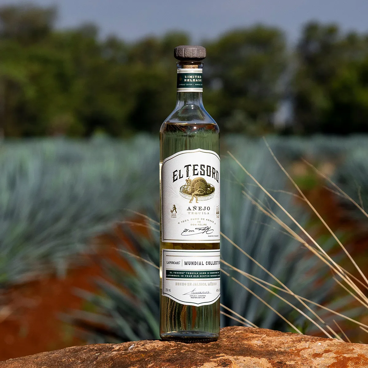 Laphroaig Tequila Bottle El Tesoro