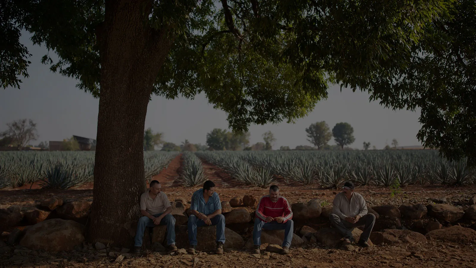 About Us Community Men Drinking El Tesoro